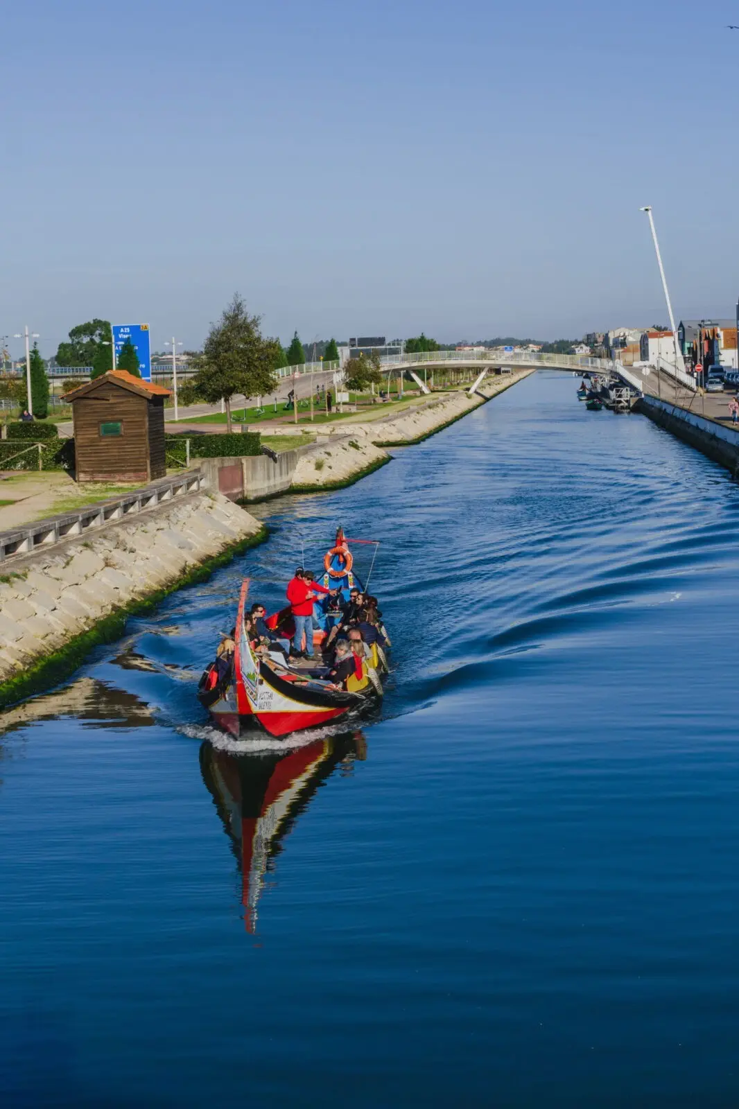 Moliceiro che solca il canale