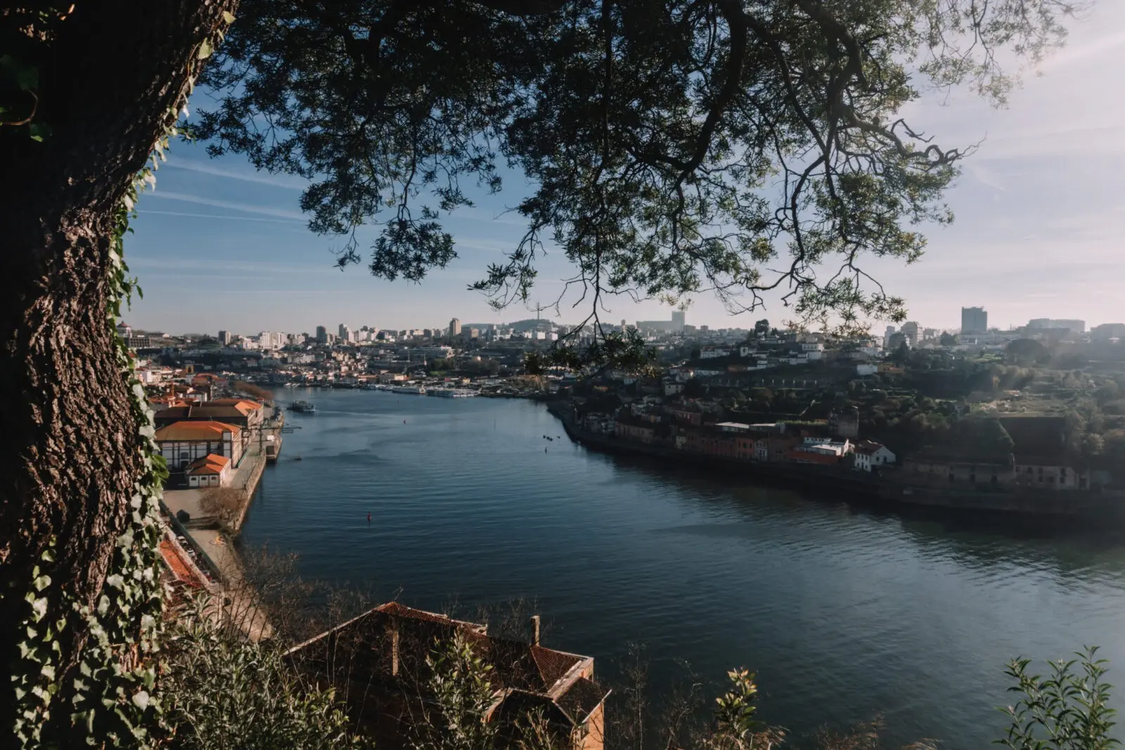 Vista panoramica del fiume e della città dell'alto dei Jardim do Palácio de Cristal