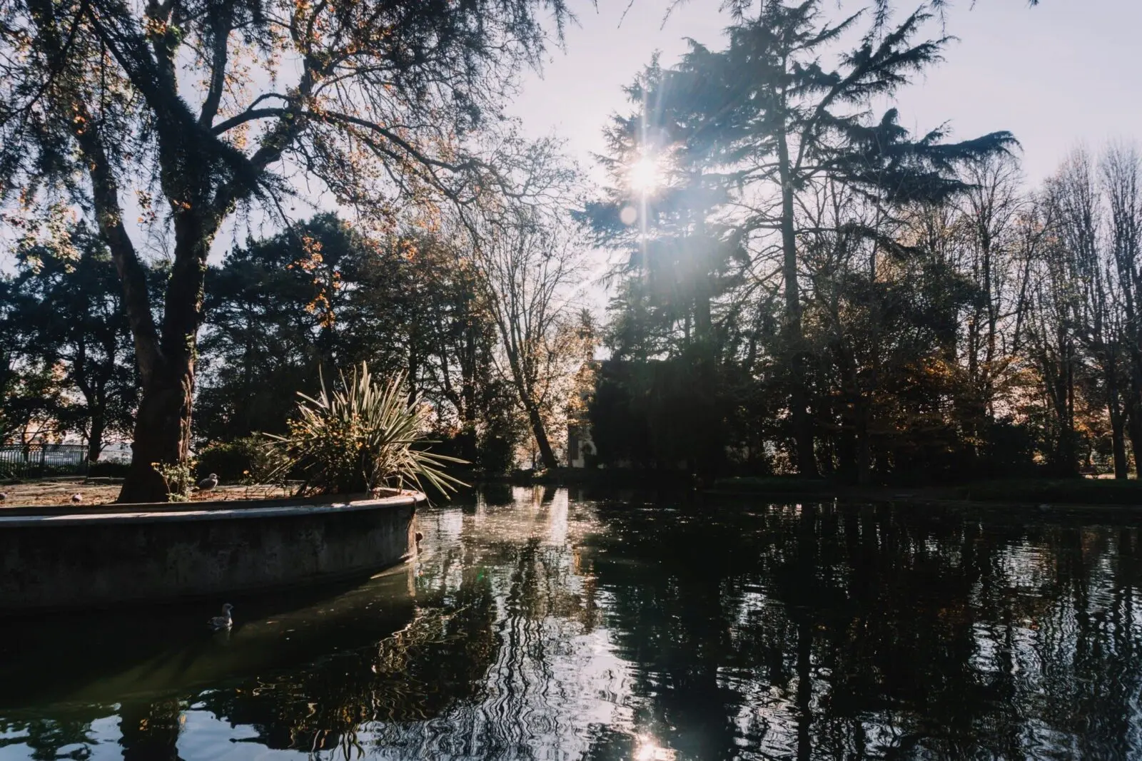 Laghetto piccolo nei Jardim do Palácio de Cristal