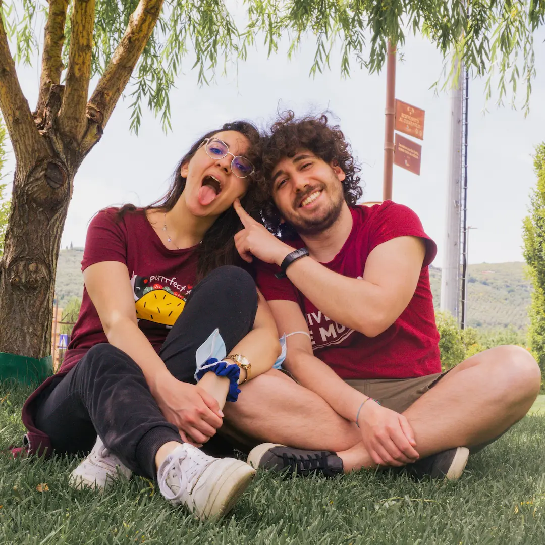 i van voyage sorridenti seduti sul prato