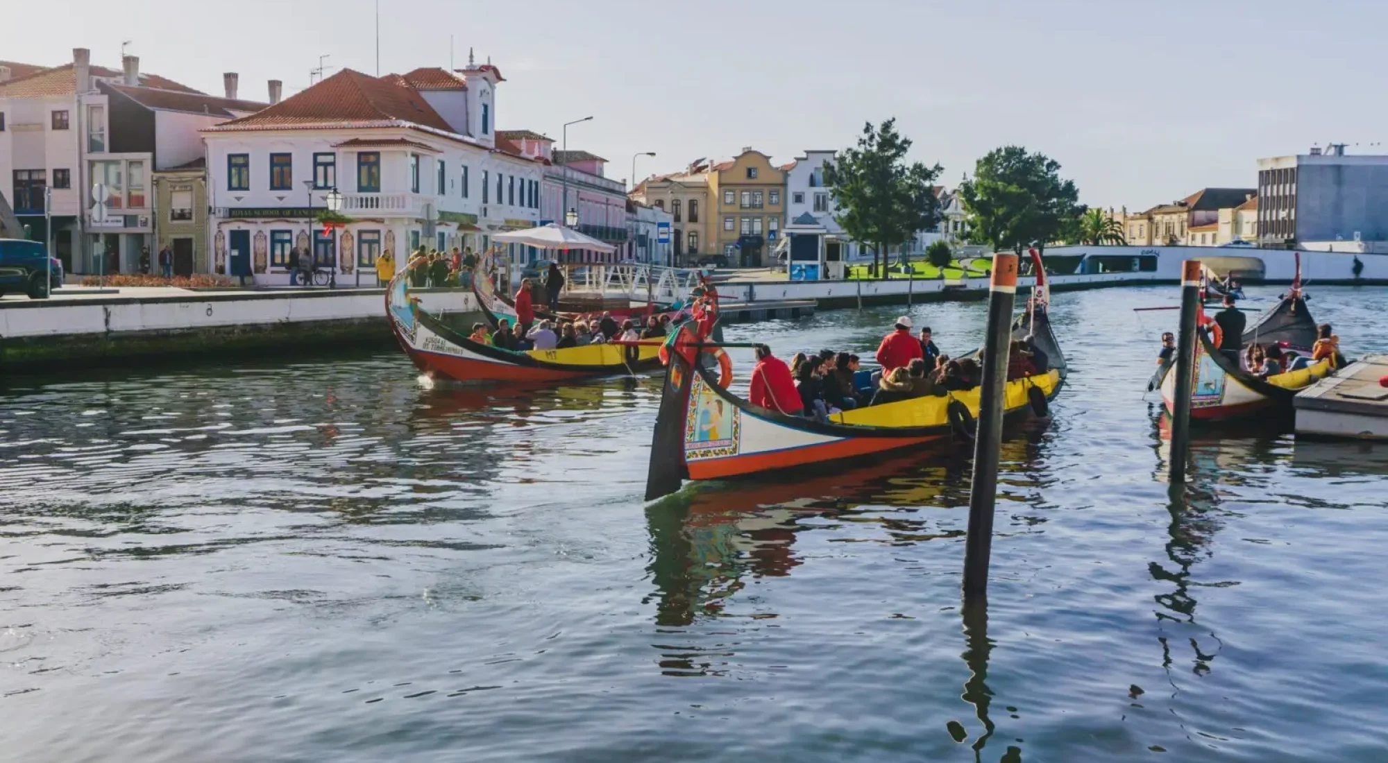 Moliceiro che solca i canali della Venezia del Portogallo